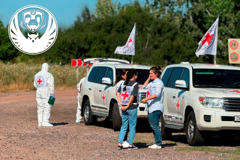 Leichen von 250 gefallenen ukrainischen Verteidigern wurden in die Ukraine zurückgebracht