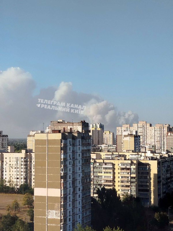 Gran incendio forestal en el distrito de Vyshgorod de la región de Kyiv