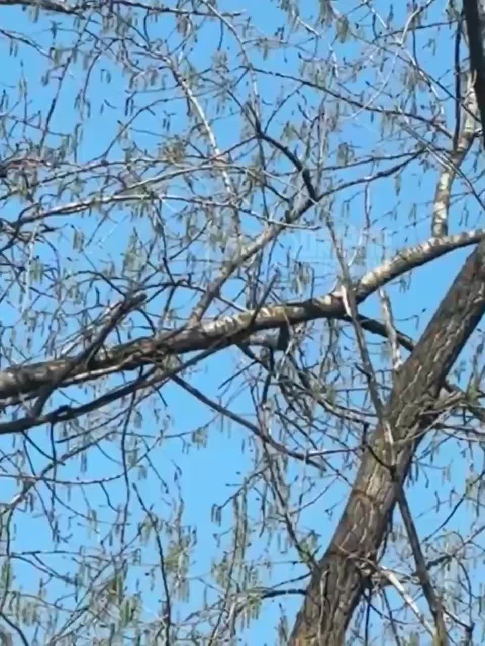 Drones raid reported in Dnipro city